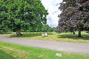 Photo 14- click for photo gallery